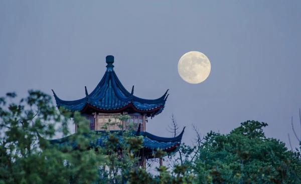 园月·月圆|游园寻趣,觅江苏最美月色